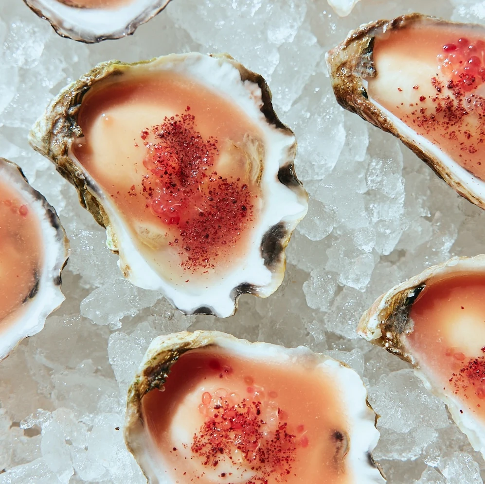 Freshly shucked oysters on crushed ice at The Tropic