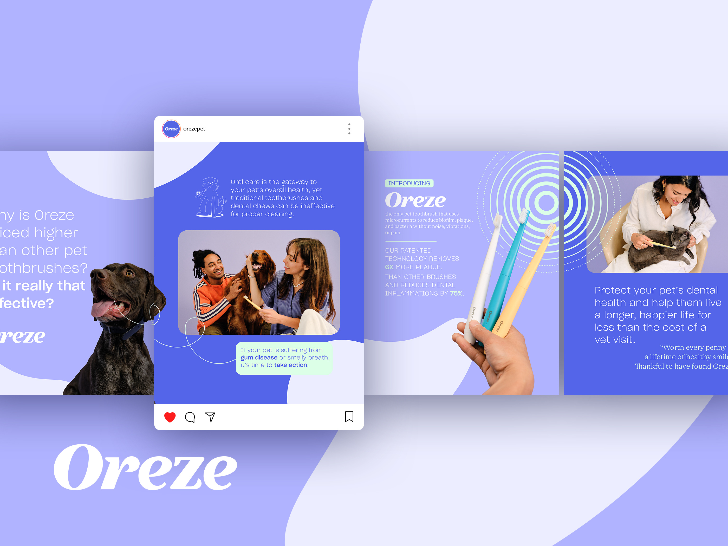 Social media ad design for pet care brand, digital marketing assets for Instagram and Meta campaigns featuring lifestyle imagery and product education