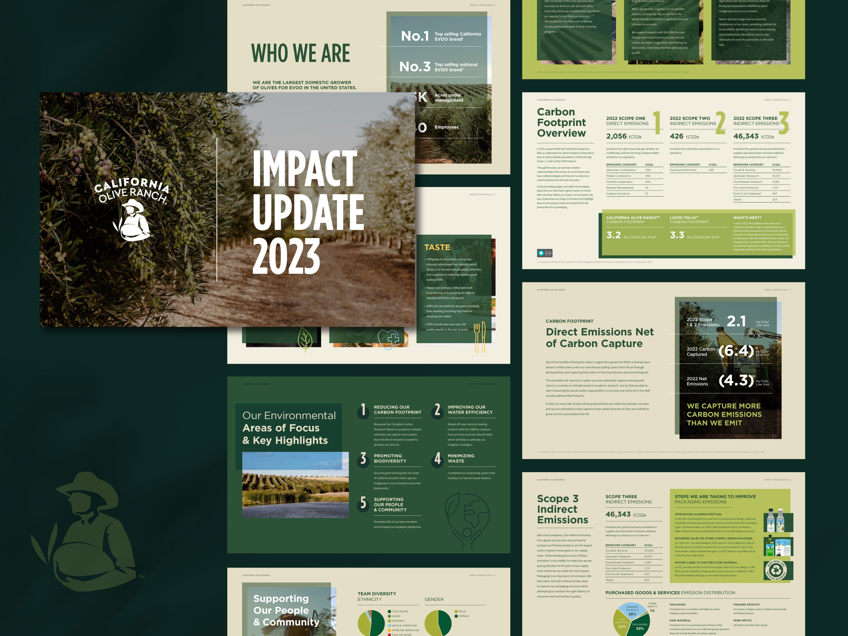 Presentation deck design for California Olive Ranch Impact Update 2023, corporate presentation slides with infographic layouts focusing on environmental impact and sustainability reporting