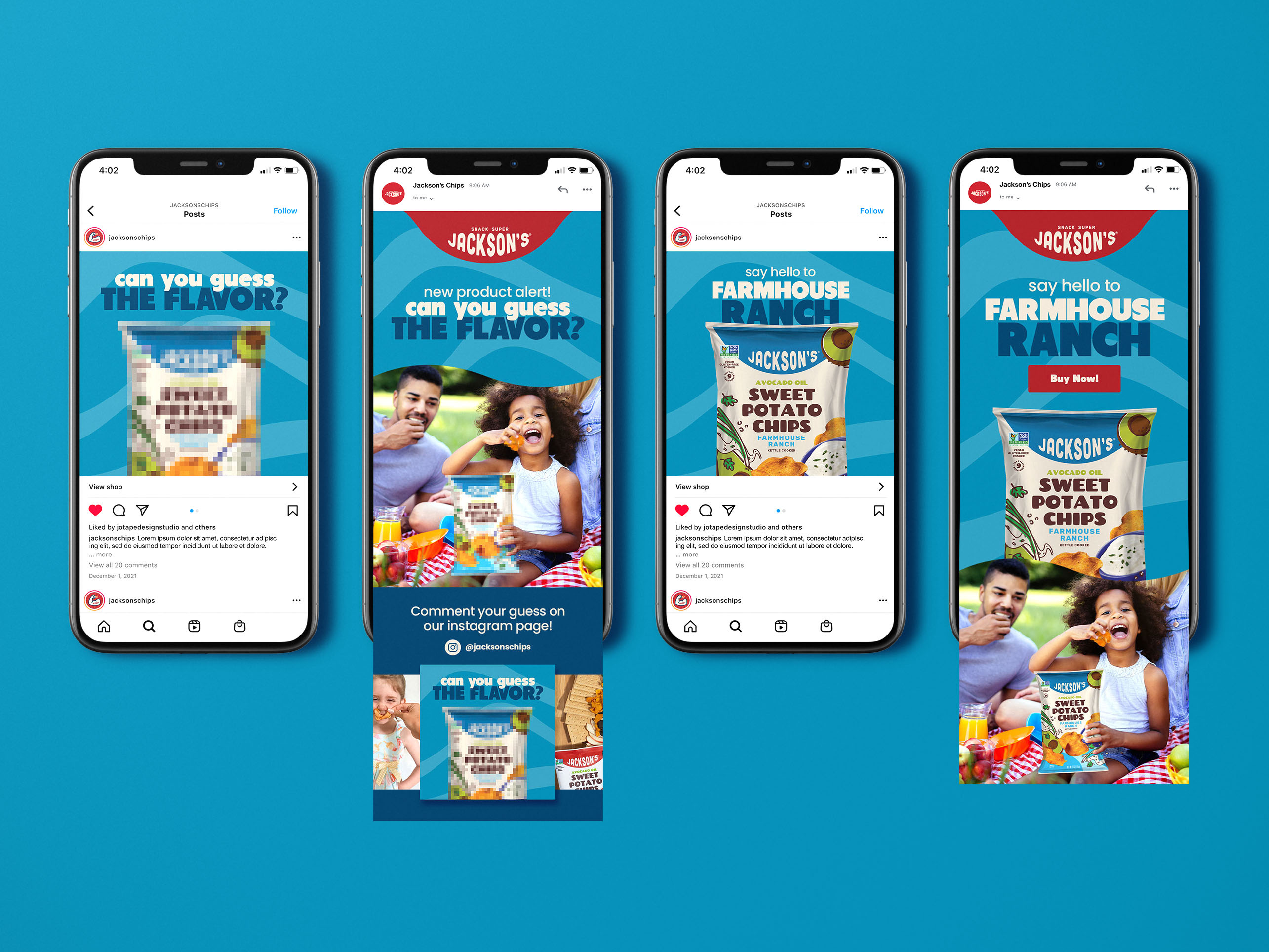 Digital marketing campaign design for CPG snack brand featuring email newsletter layout and vertical social media graphics optimized for product launches and e-commerce promotions