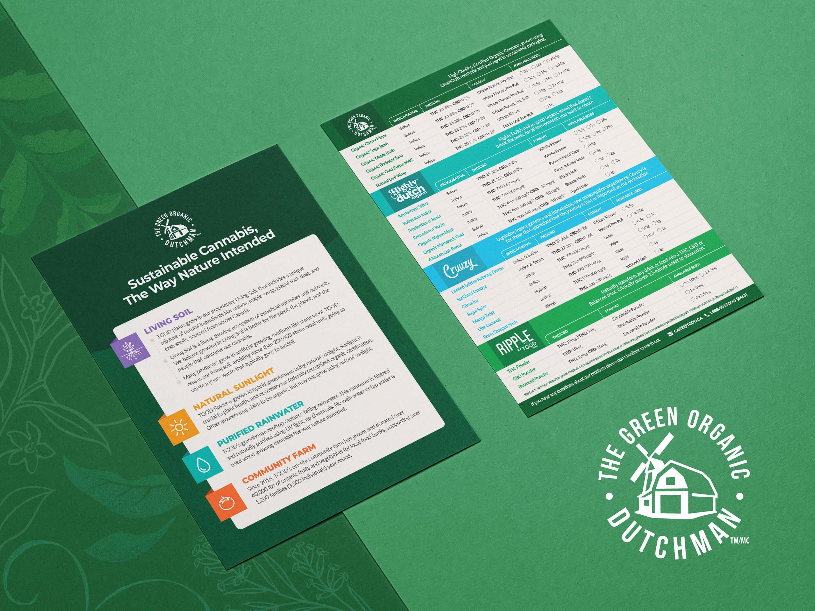 Cannabis infographic sheet design for trade shows and retail educational handout detailing plant anatomy with technical illustrations and clear typography