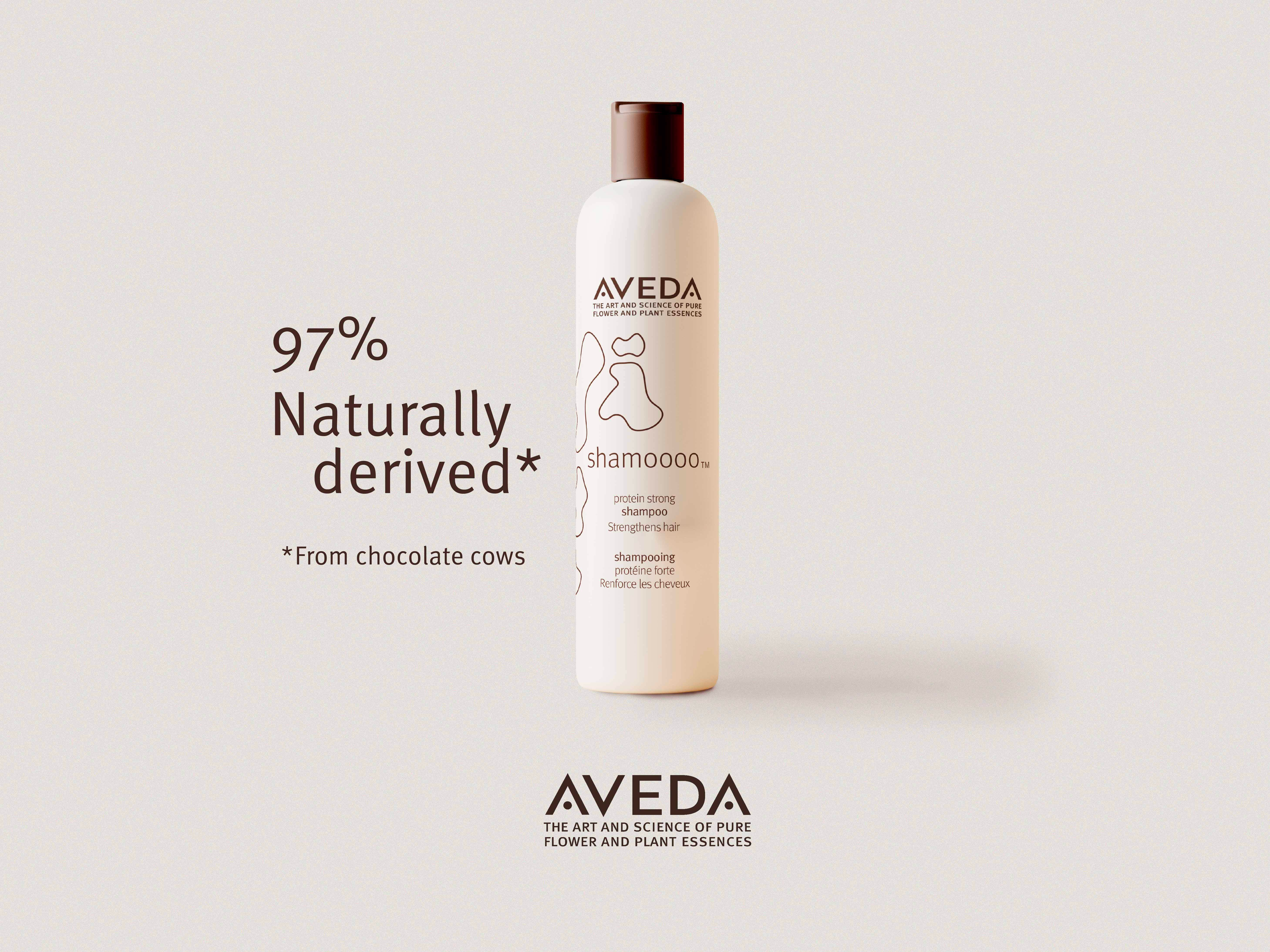 Packaging design concept for Chocolate Shampoo featuring cow print patterns and playful typography for retail and trade show display