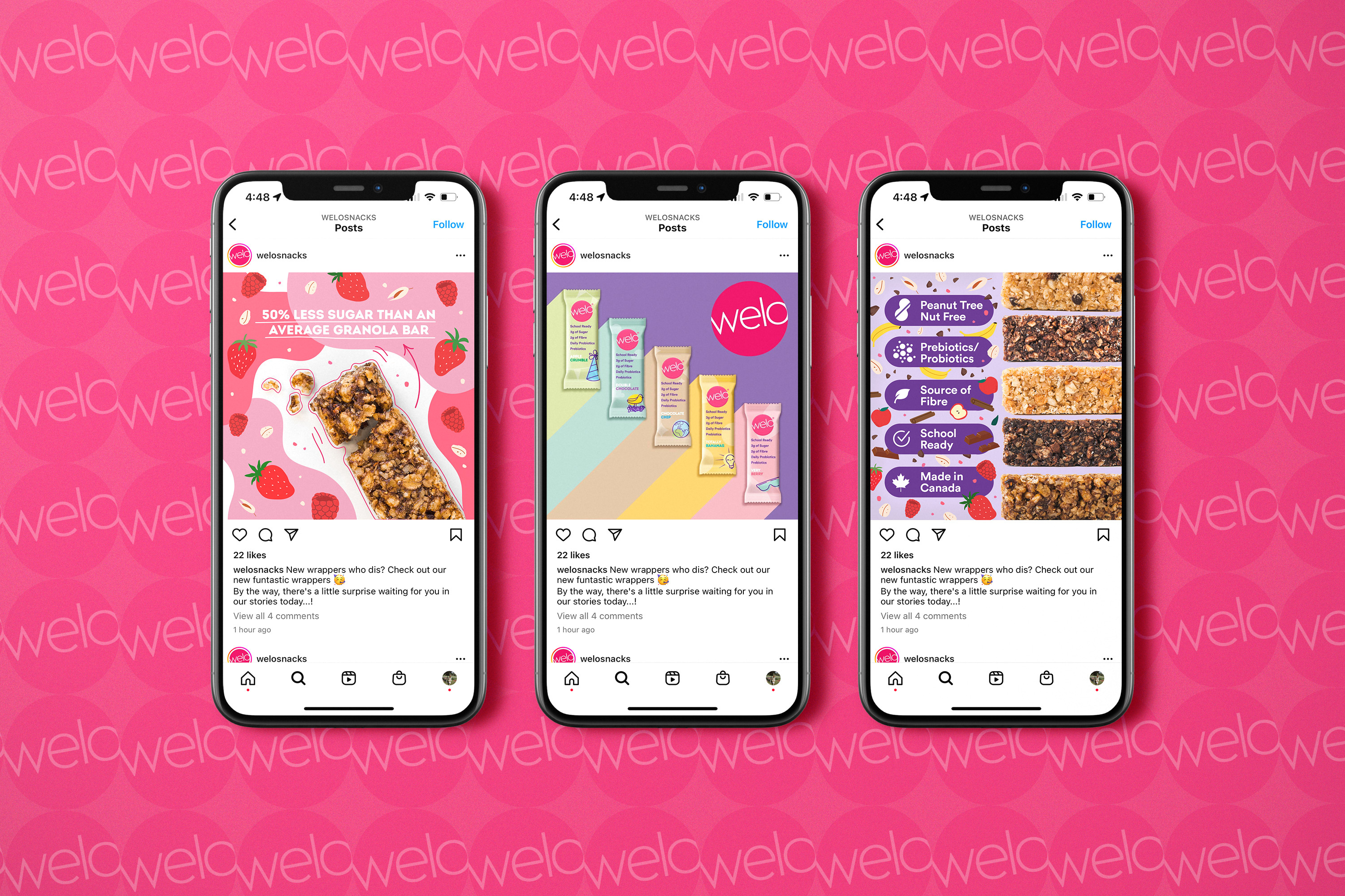 Retractable pop-up banner design for Wilde protein chips trade show display graphics featuring Nashville Hot Chicken & Waffles and Himalayan Pink Salt flavors for events and retail promotions