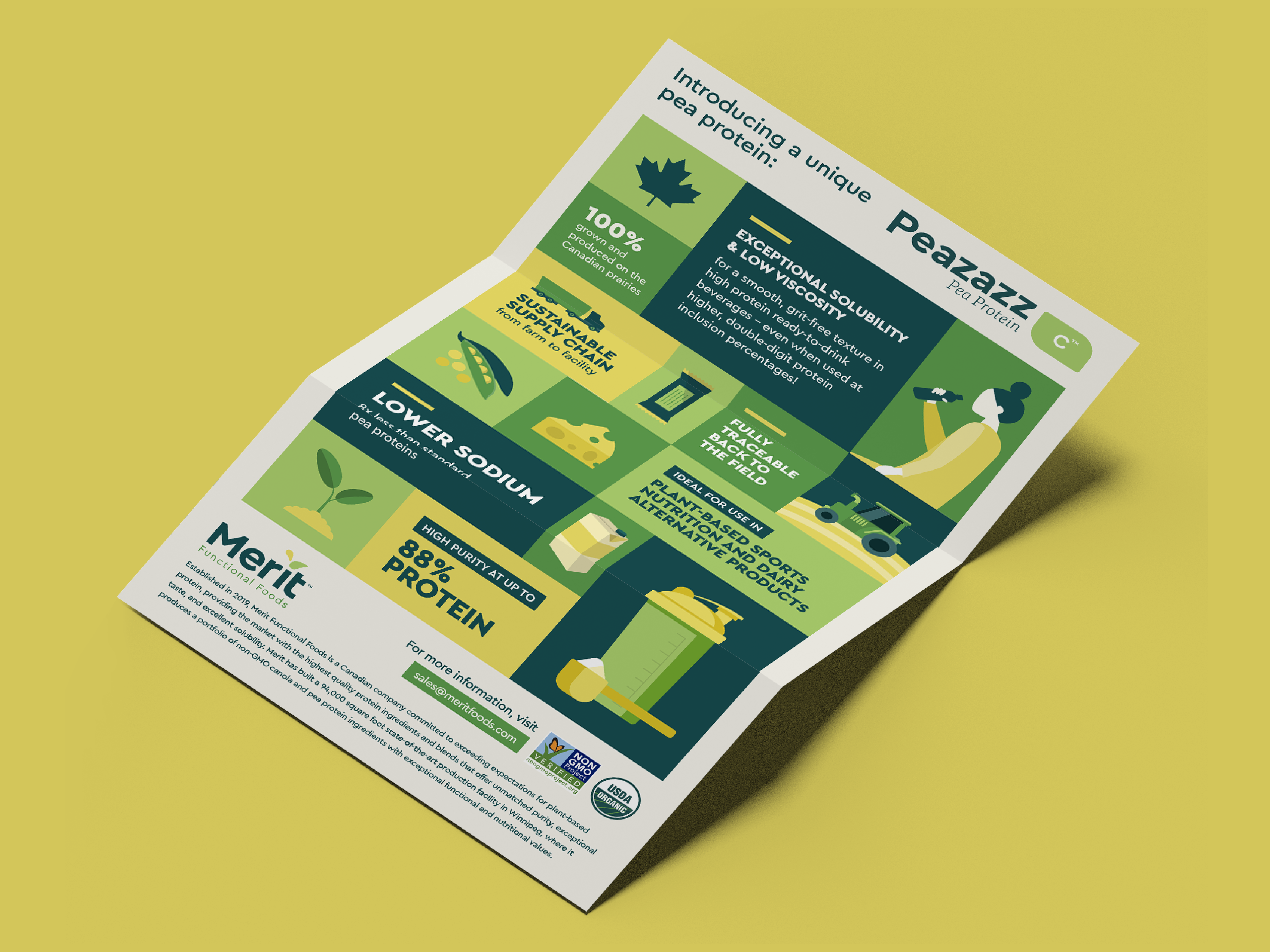 Promotional flyer design for organic pea protein brand, trade marketing asset optimized for events and retail handouts