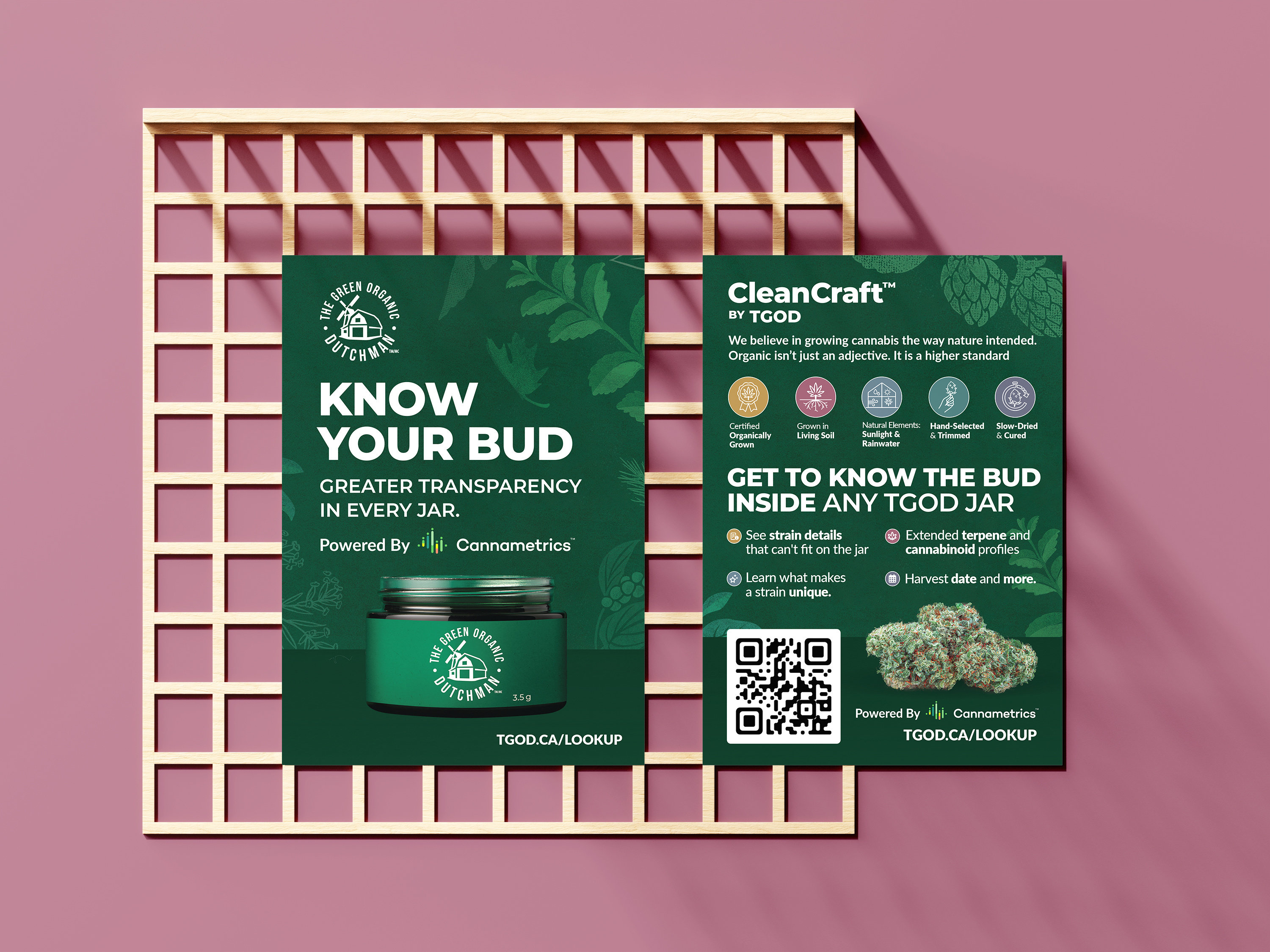 Postcard design for cannabis brand featuring retro illustration of flower bud used for direct mail and trade show handouts