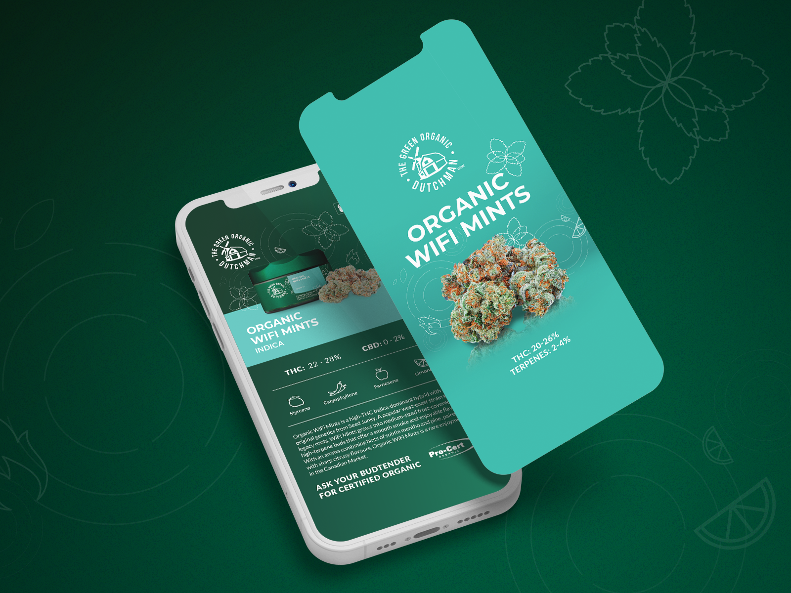 Event and retail display signage for cannabis product strains featuring vertical banners for Blue Dream OG Kush and Pineapple Express optimized for trade shows and experiential marketing environments