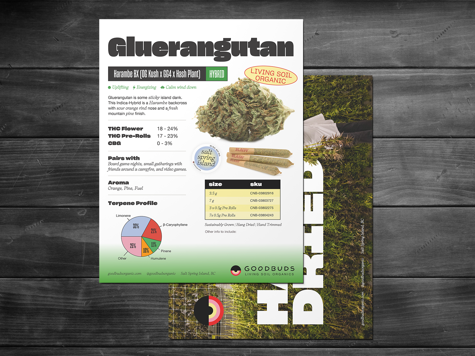 Sell sheet design and cannabis product flyer, two-sided layout for trade marketing and retail sales collateral, features premium branding on cover and structured product categories on reverse for clear communication