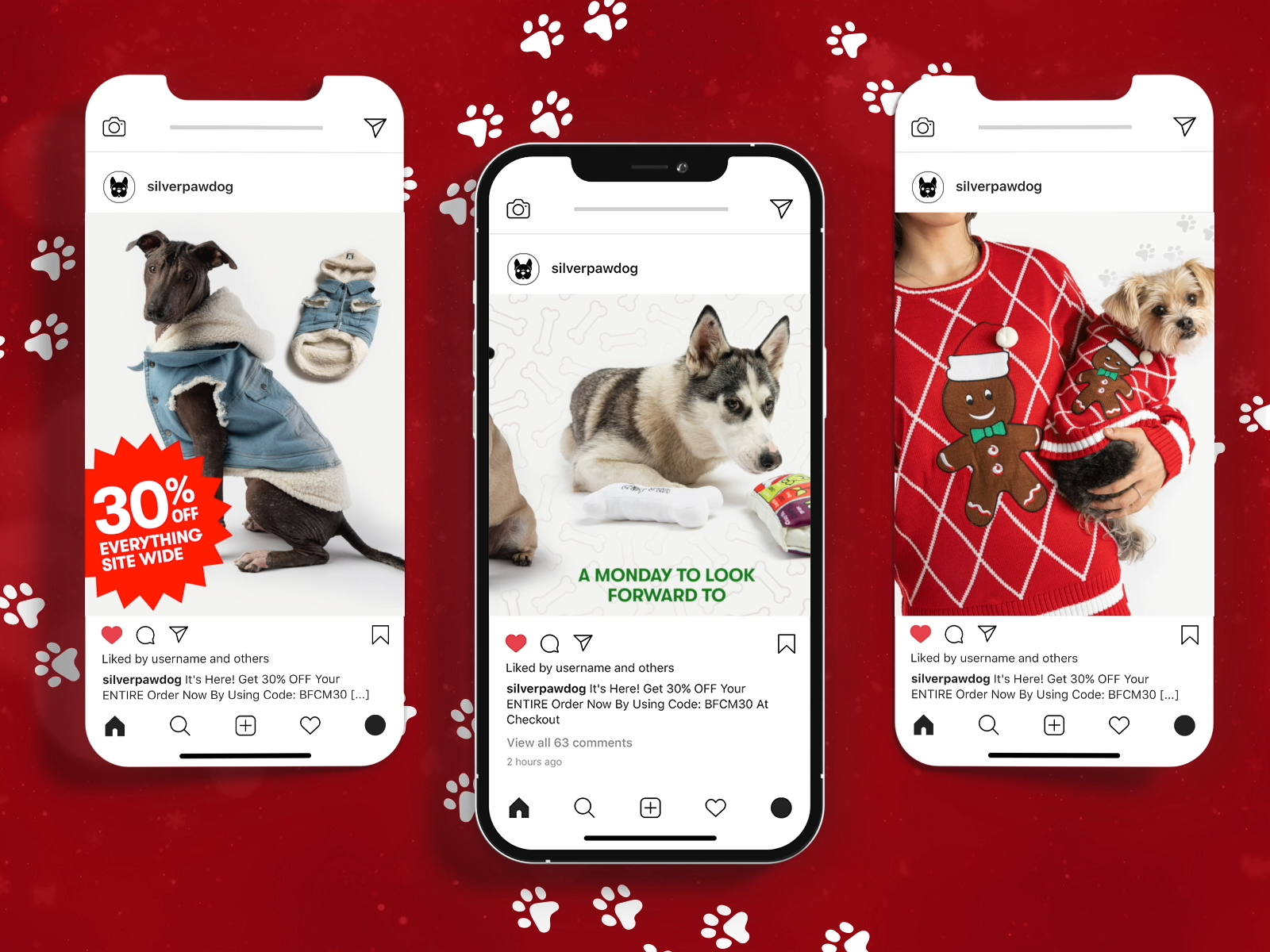 Animated retail promotion asset for CPG dog brand Black Friday sale designed for trade marketing and digital display environments