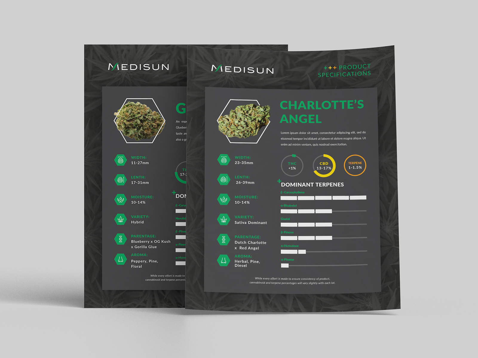 Product spec sheet design and B2B sell sheet layout for cannabis CPG brand, trade marketing asset optimized for wholesale buying and retail presentations featuring edibles and vape products