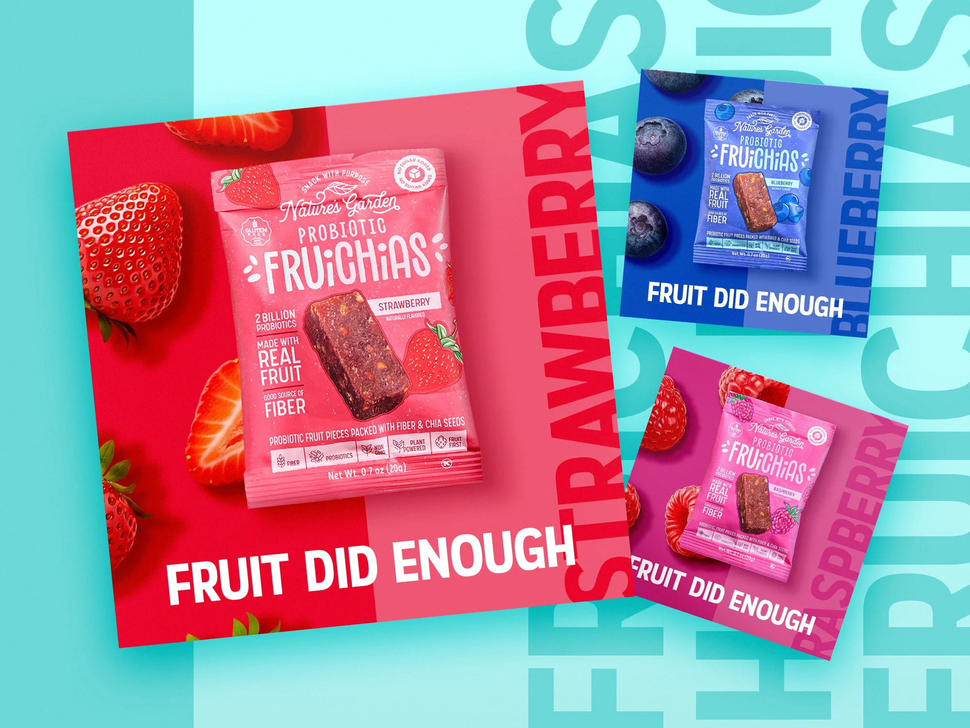Meta social ad suite for Nature's Garden Probiotic FruiChias snack brand, three flavor-specific ads in red blue and pink for Strawberry Blueberry and Raspberry with Fruit Did Enough headline and product photography on teal typographic background