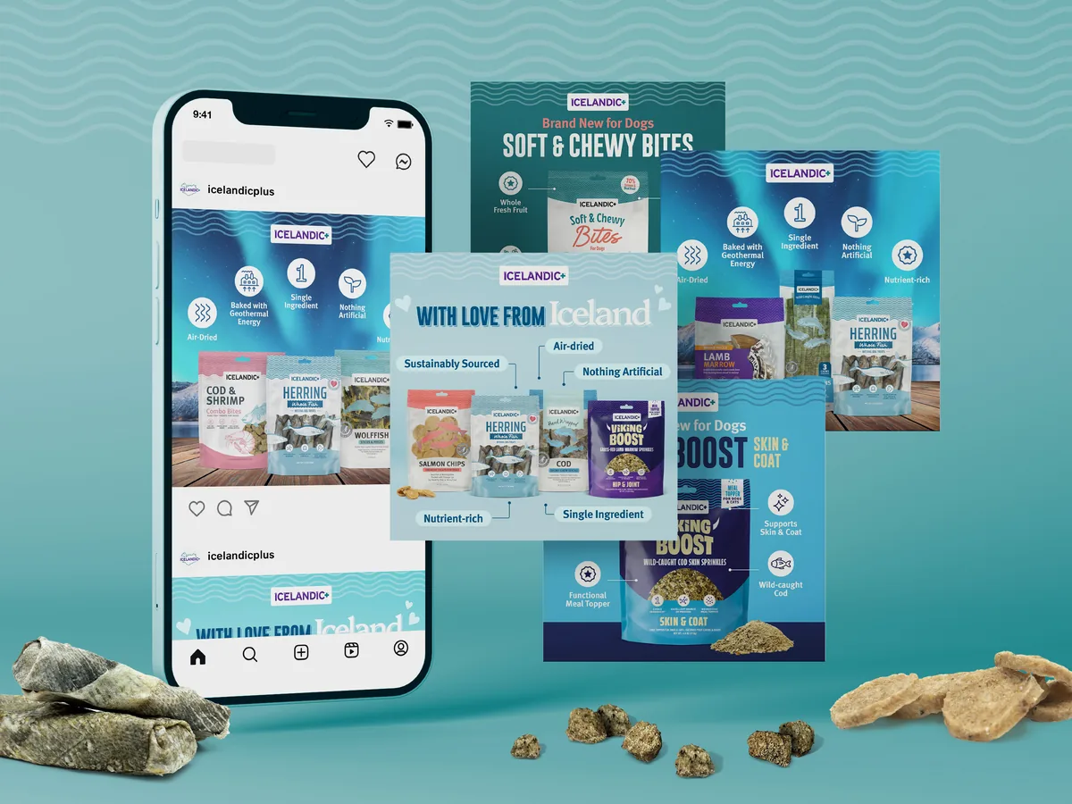 Instagram social content suite for Icelandic+ dog treats featuring a 'With Love from Iceland' brand story carousel, a Soft & Chewy Bites for Dogs product launch panel, and a Viking Boost Skin & Coat meal topper launch graphic.