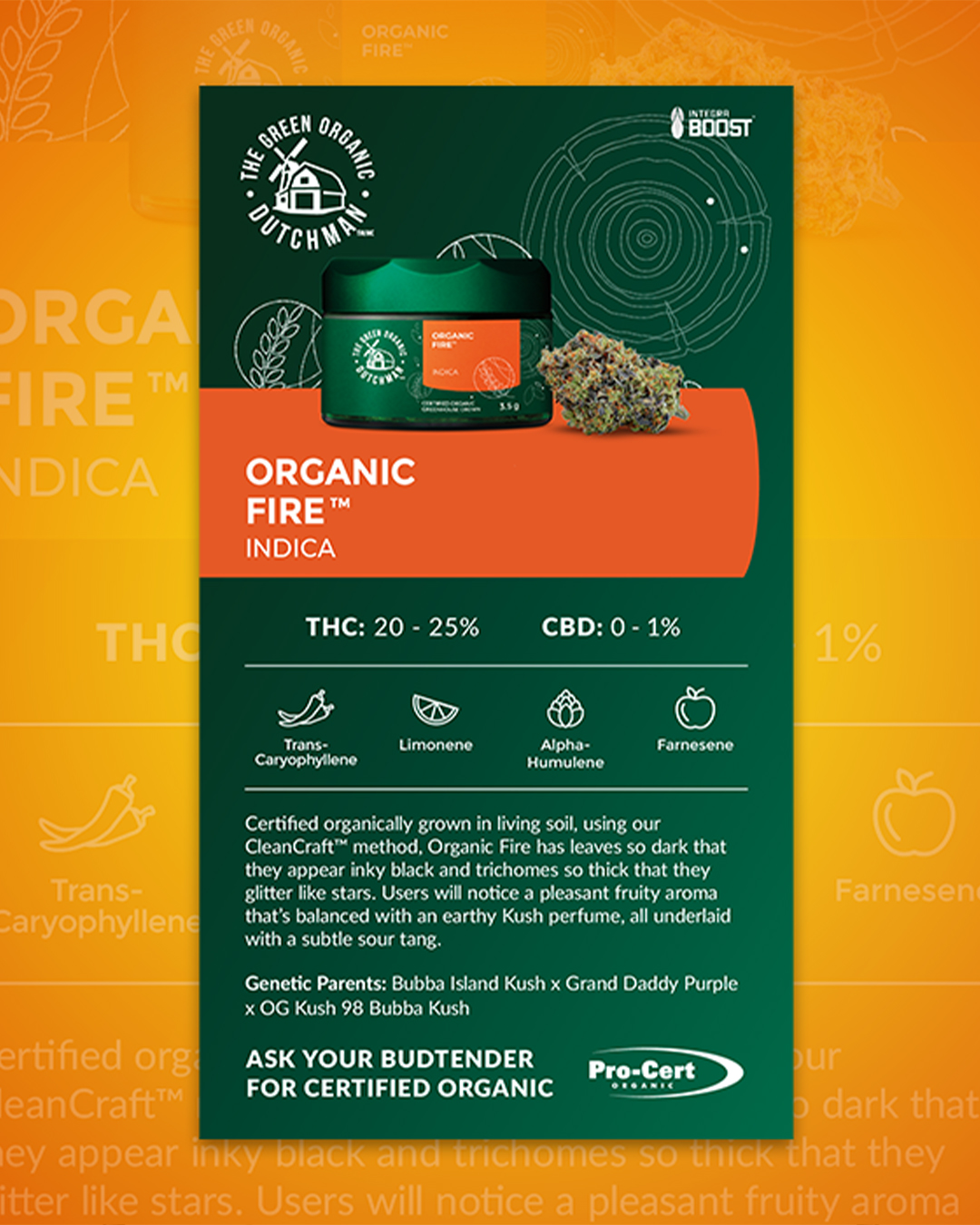 DarkRoast creative work for cannabis brands