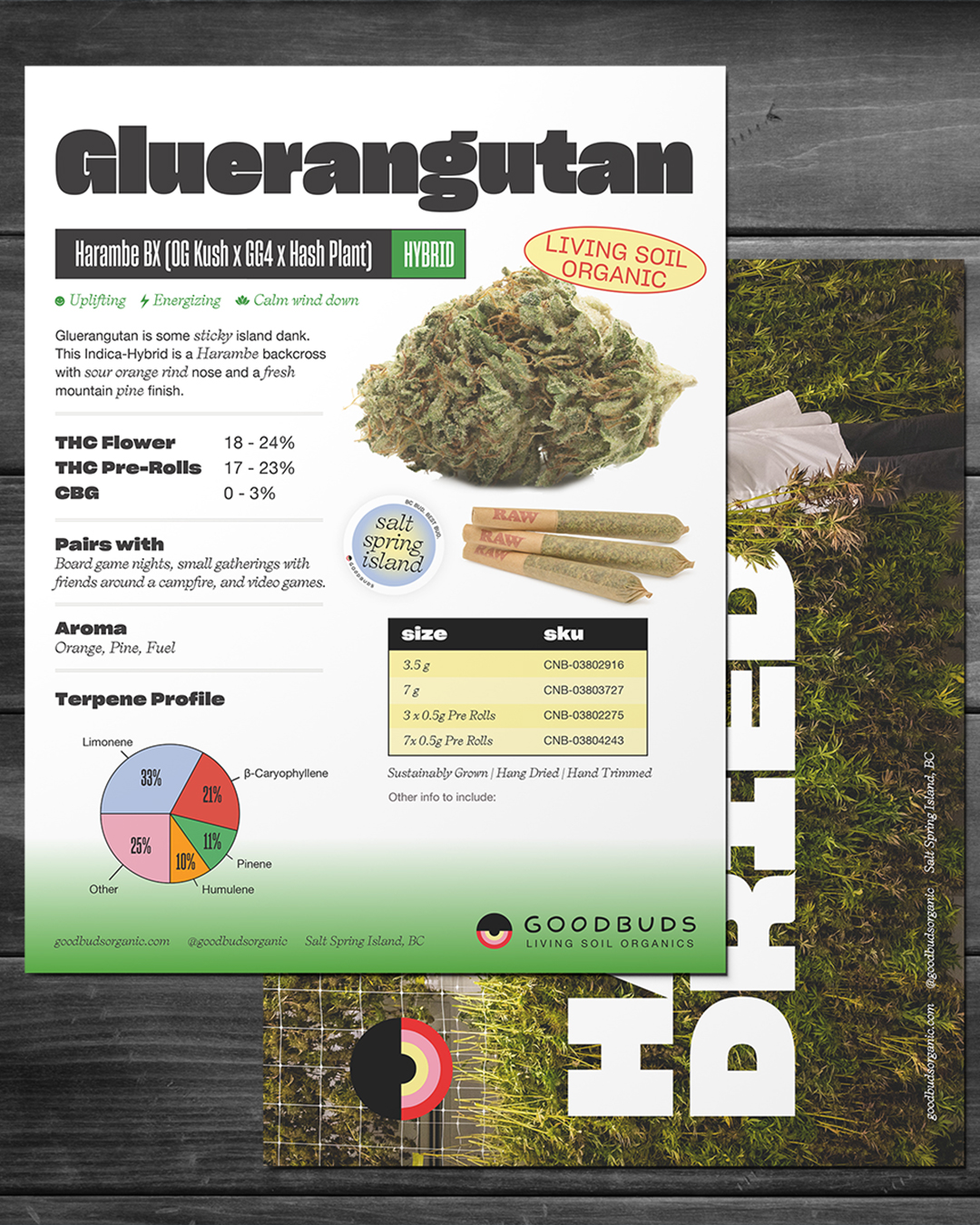 DarkRoast creative work for cannabis brands