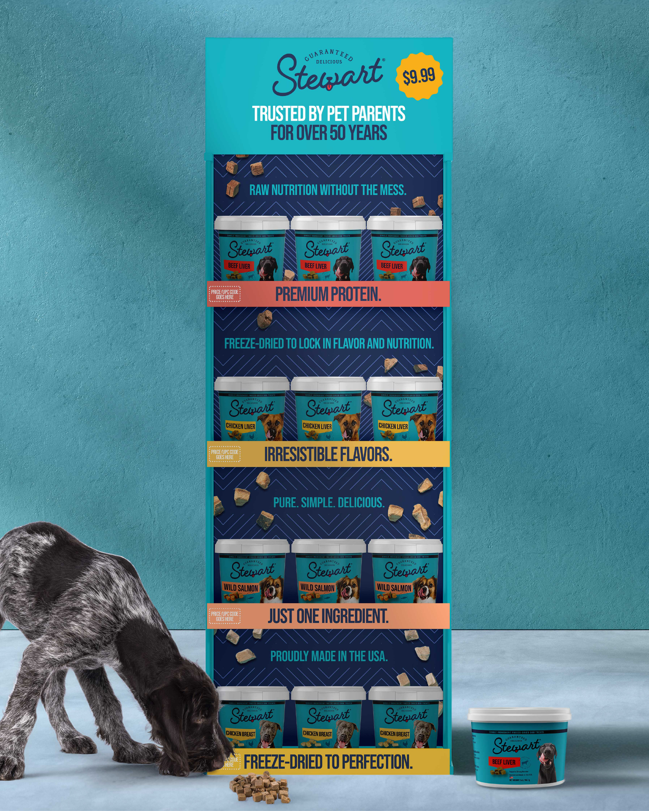 DarkRoast creative work for pet brands