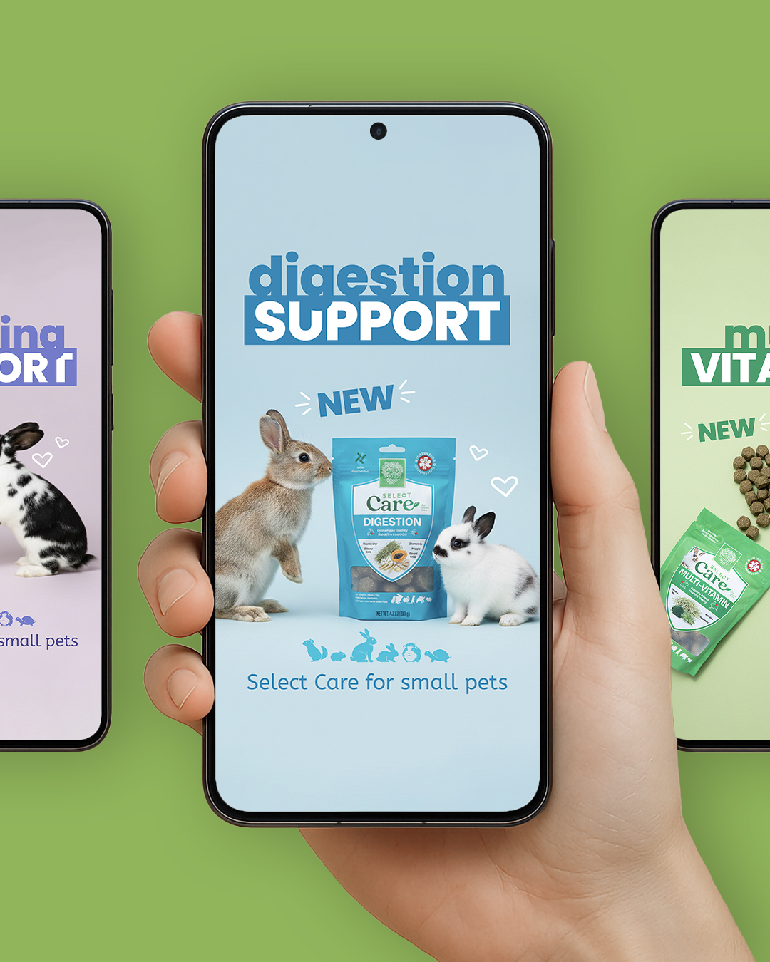 DarkRoast creative work for pet brands