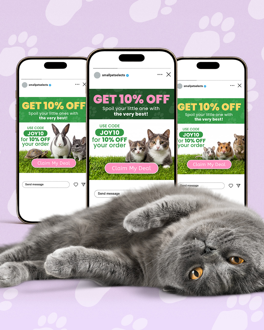 DarkRoast creative work for pet brands