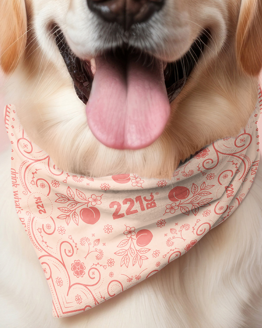 DarkRoast creative work for pet brands