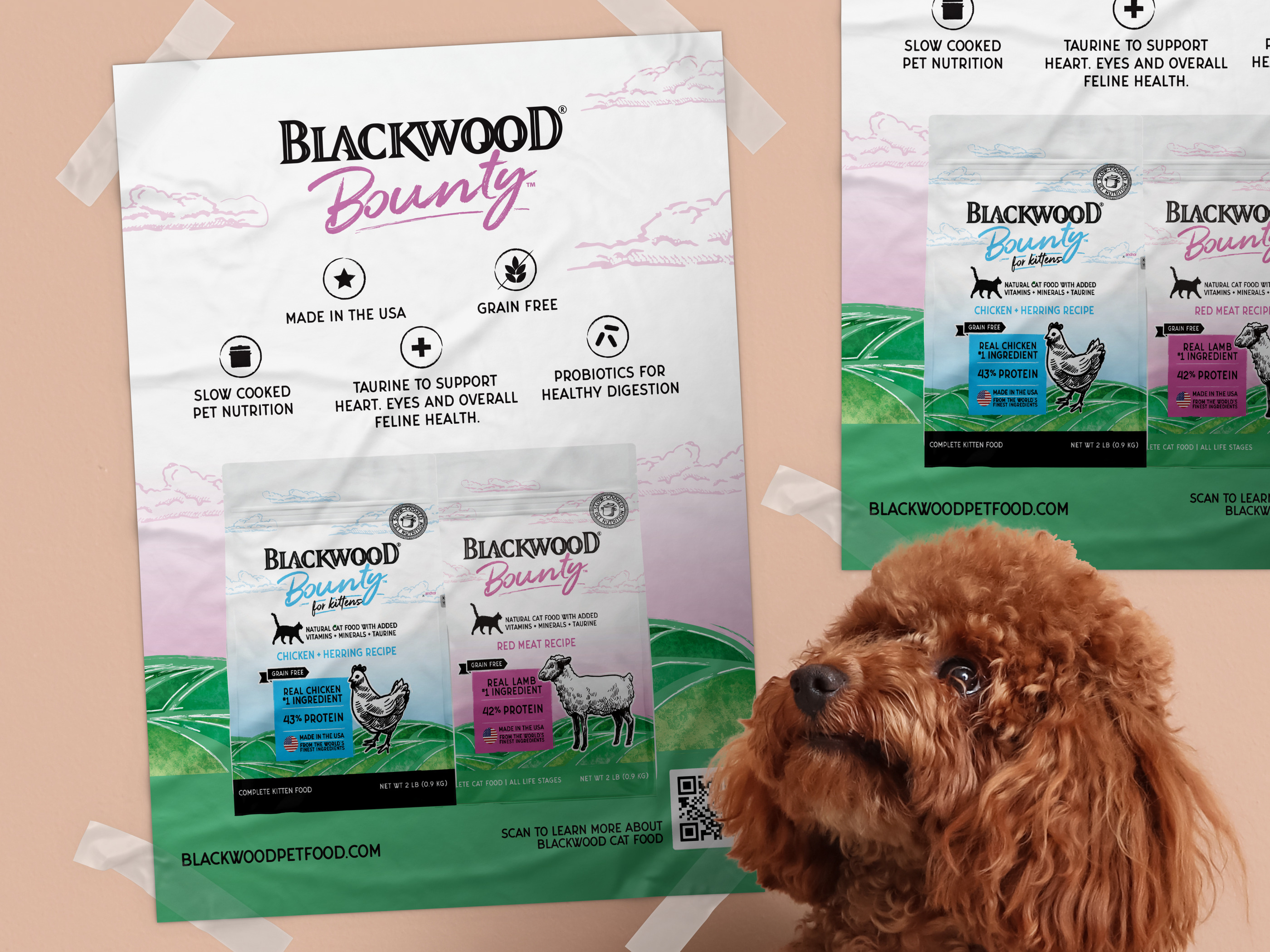 DarkRoast portfolio work for Pet brands