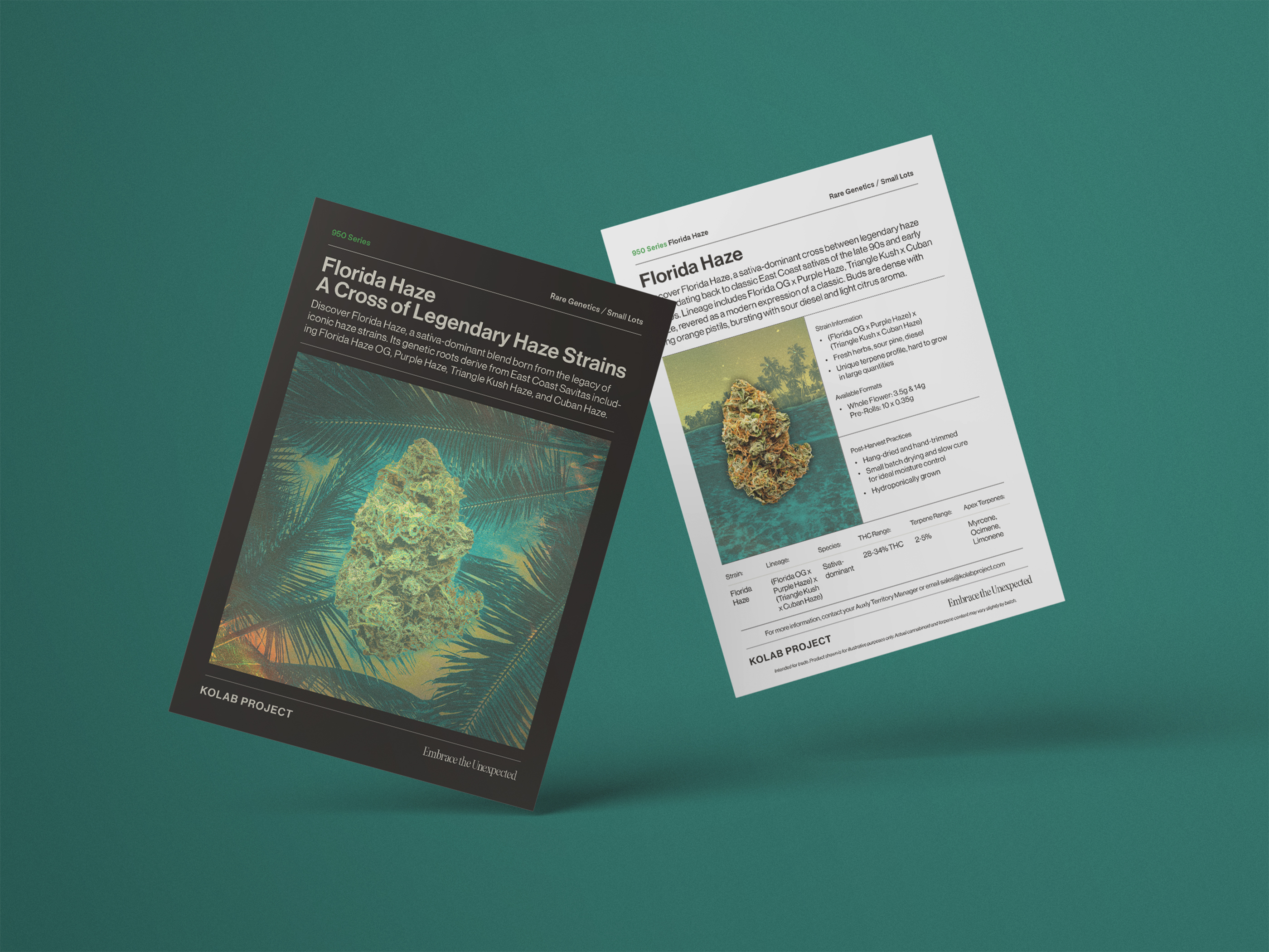 DarkRoast portfolio work for Cannabis brands