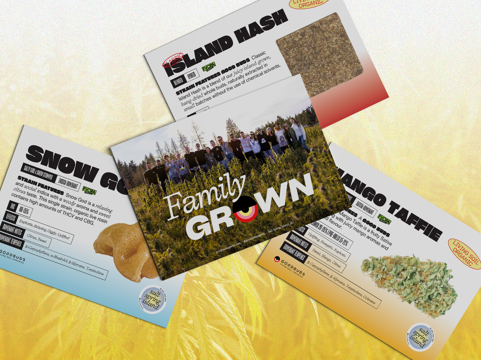 DarkRoast portfolio work for Cannabis brands