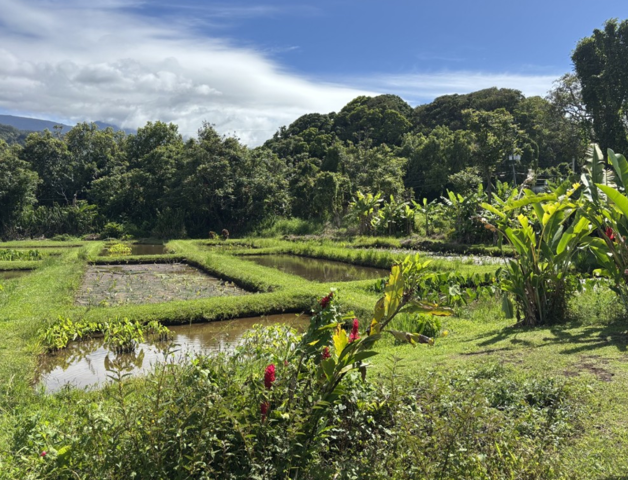 Action Plan: East Maui Water Authority
