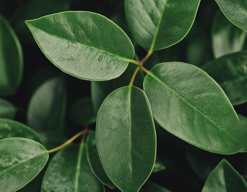 Seasonal Care Matters