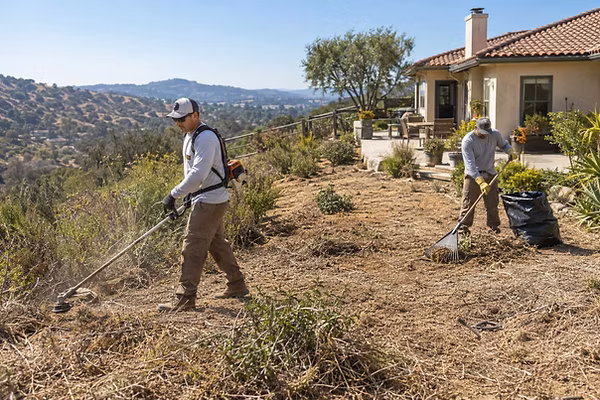 Crew clearing dry brush to create defensible space around a hillside home
