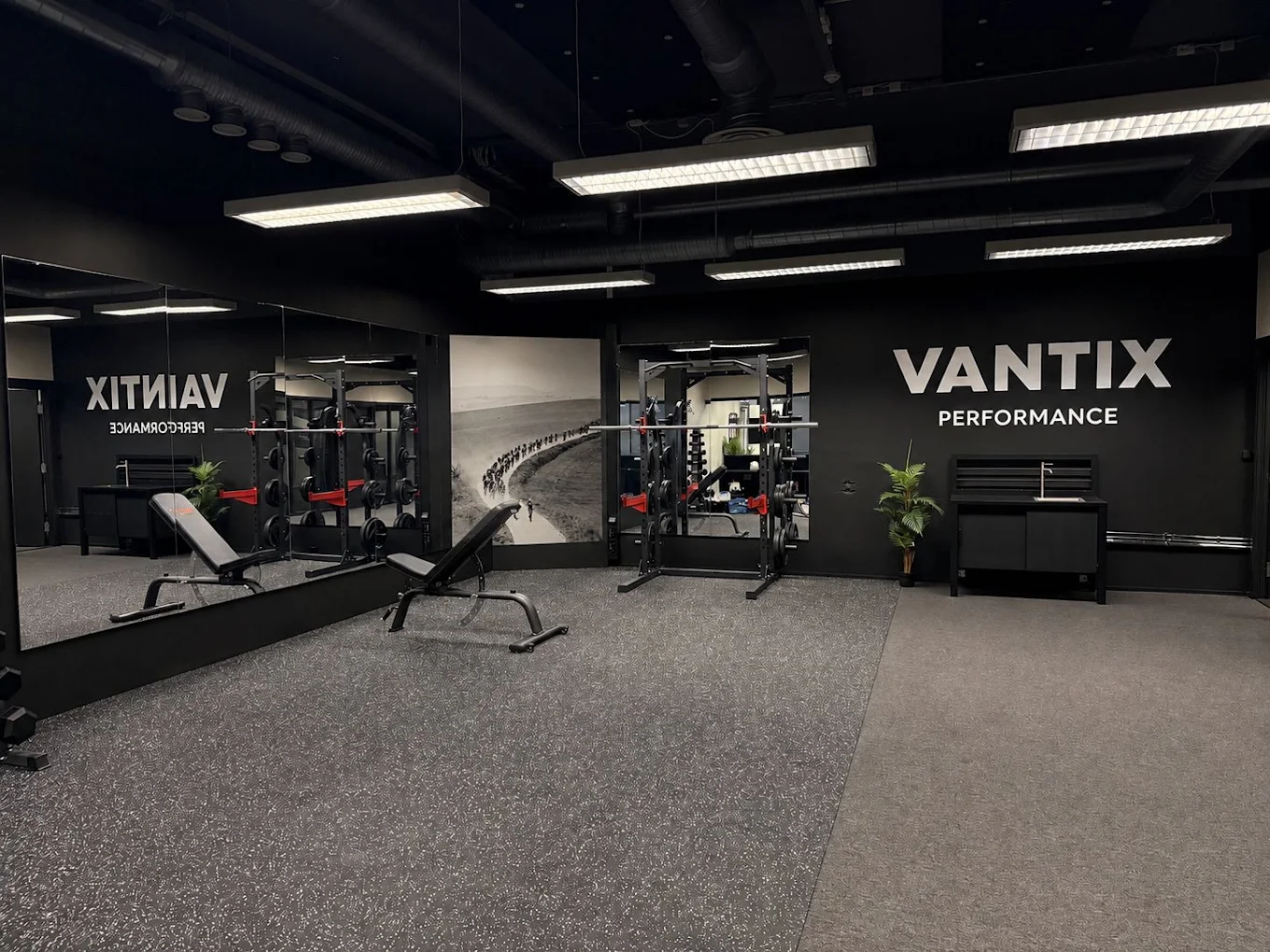 Treningsarealet med styrkeutstyr hos Vantix Performance