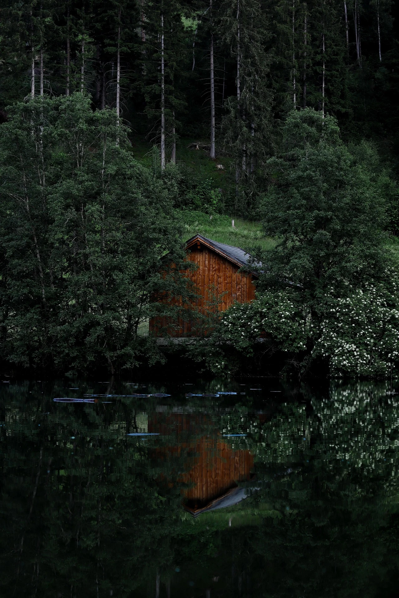Cabane en bois à bardage vertical et toit à deux pans au bord d’un étang, entourée de conifères et de feuillus