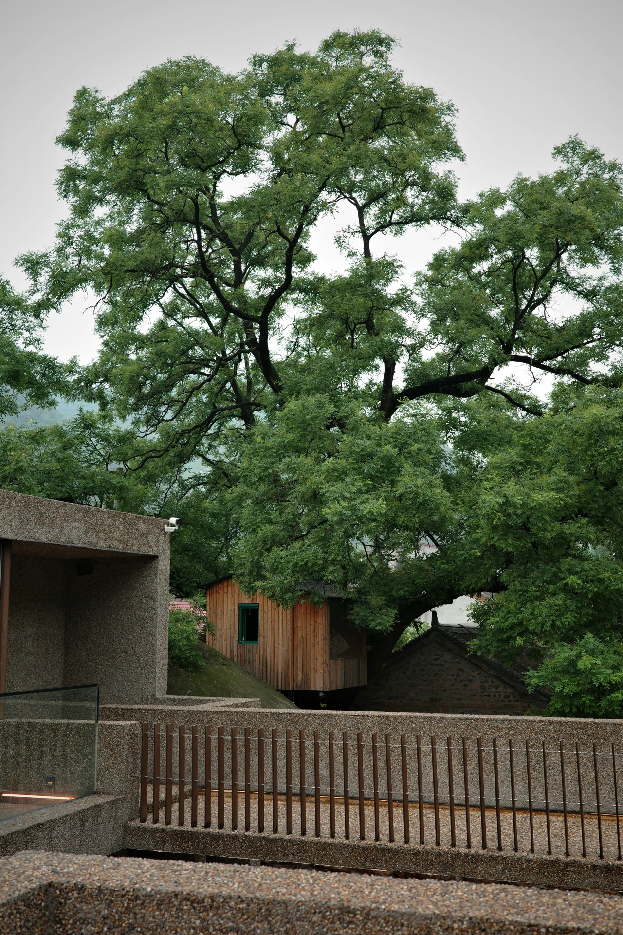 Petite cabane en bois surélevée sur poteaux, sous un grand arbre, vue par-dessus un muret en béton à garde-corps