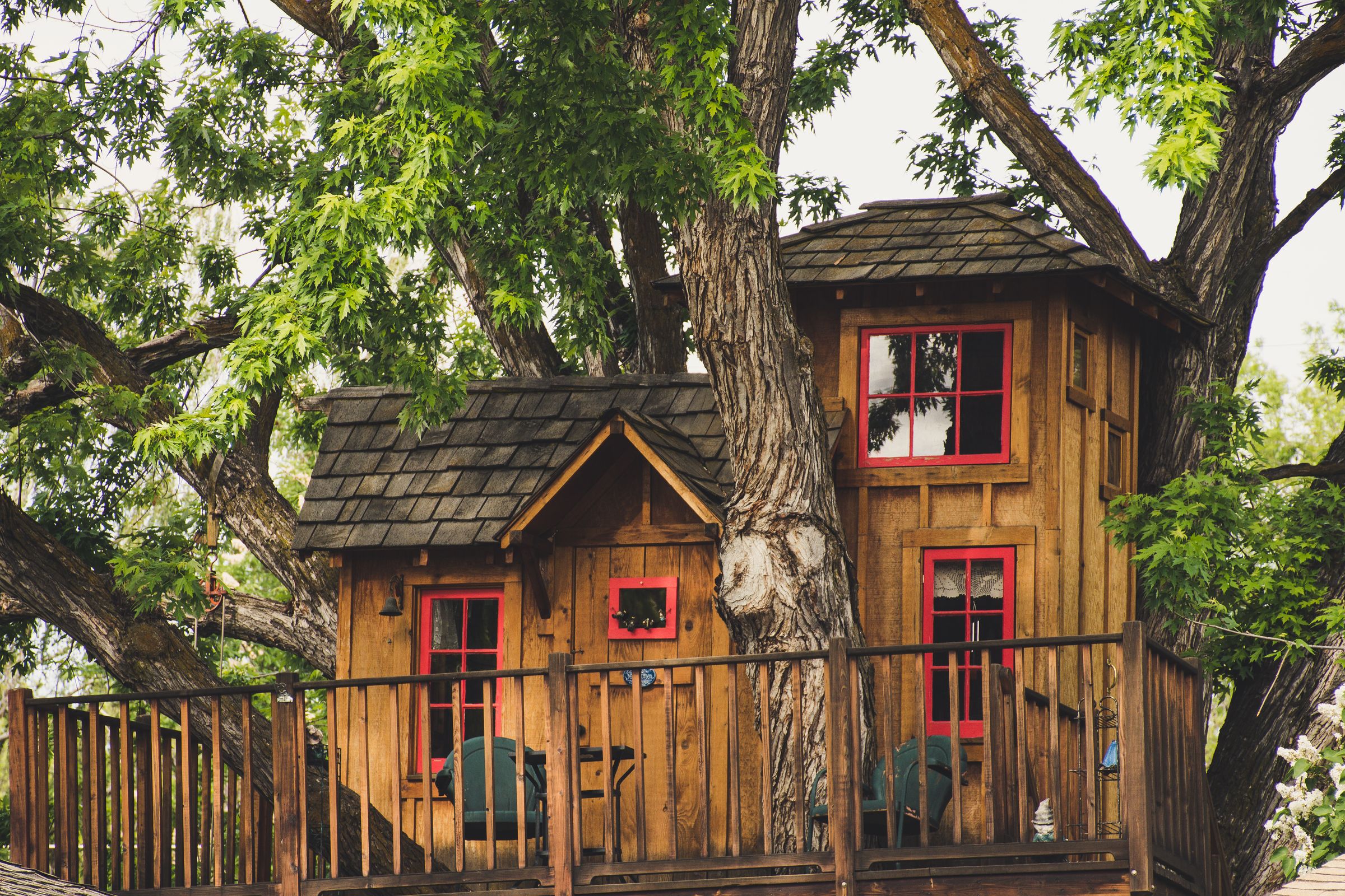 Cabane perchée en bois à deux volumes, fenêtres rouges et toit en bardeaux, construite autour d’un tronc d’arbre