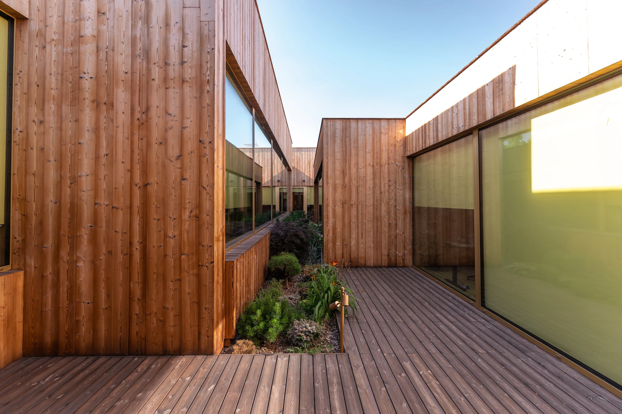 Patio entouré d’un bardage en bois vertical, avec terrasse en bois et massif planté au centre