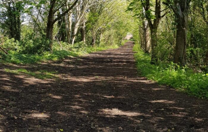 Woodland track near Hannington