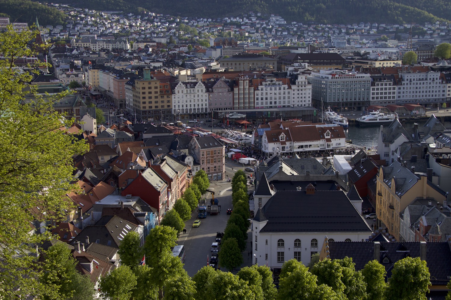 17. mai 2019 – Carl-Henrik-Harbitz-Rasmussen-_MG_0051.jpeg