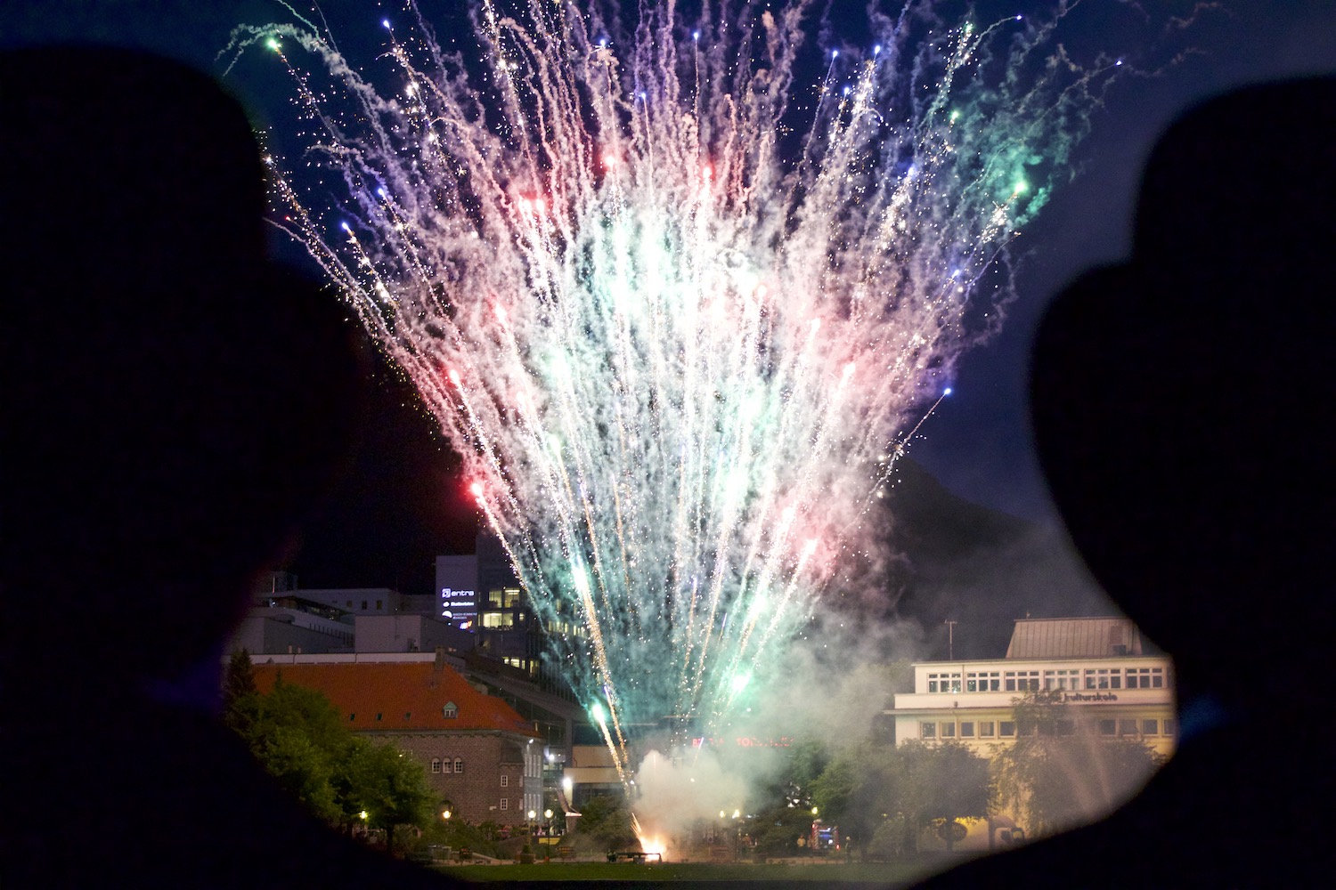17. mai 2019 – Carl-Henrik-Harbitz-Rasmussen-_MG_0100.jpeg