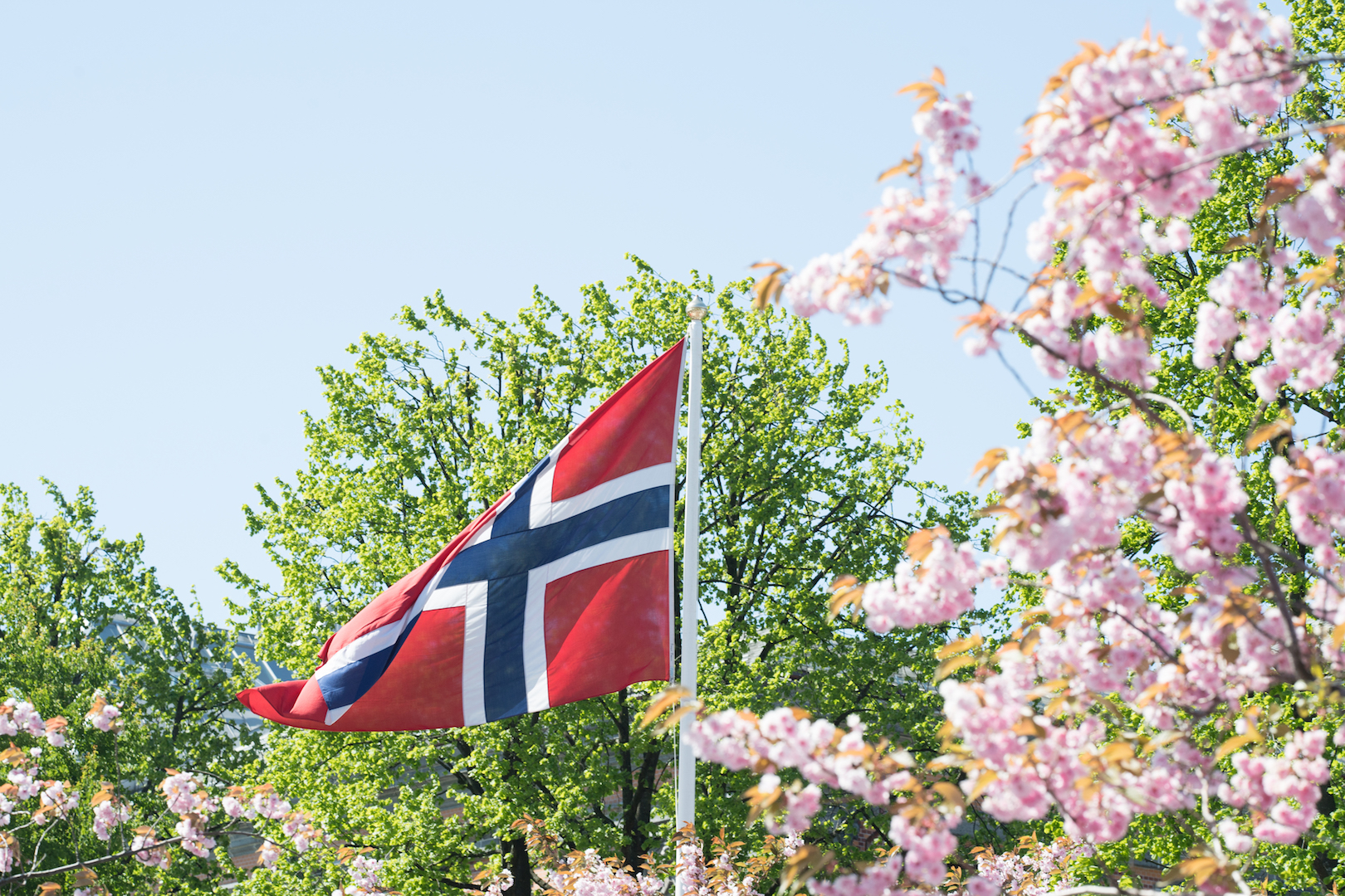 17. mai 2018 – TBR_6079.jpg