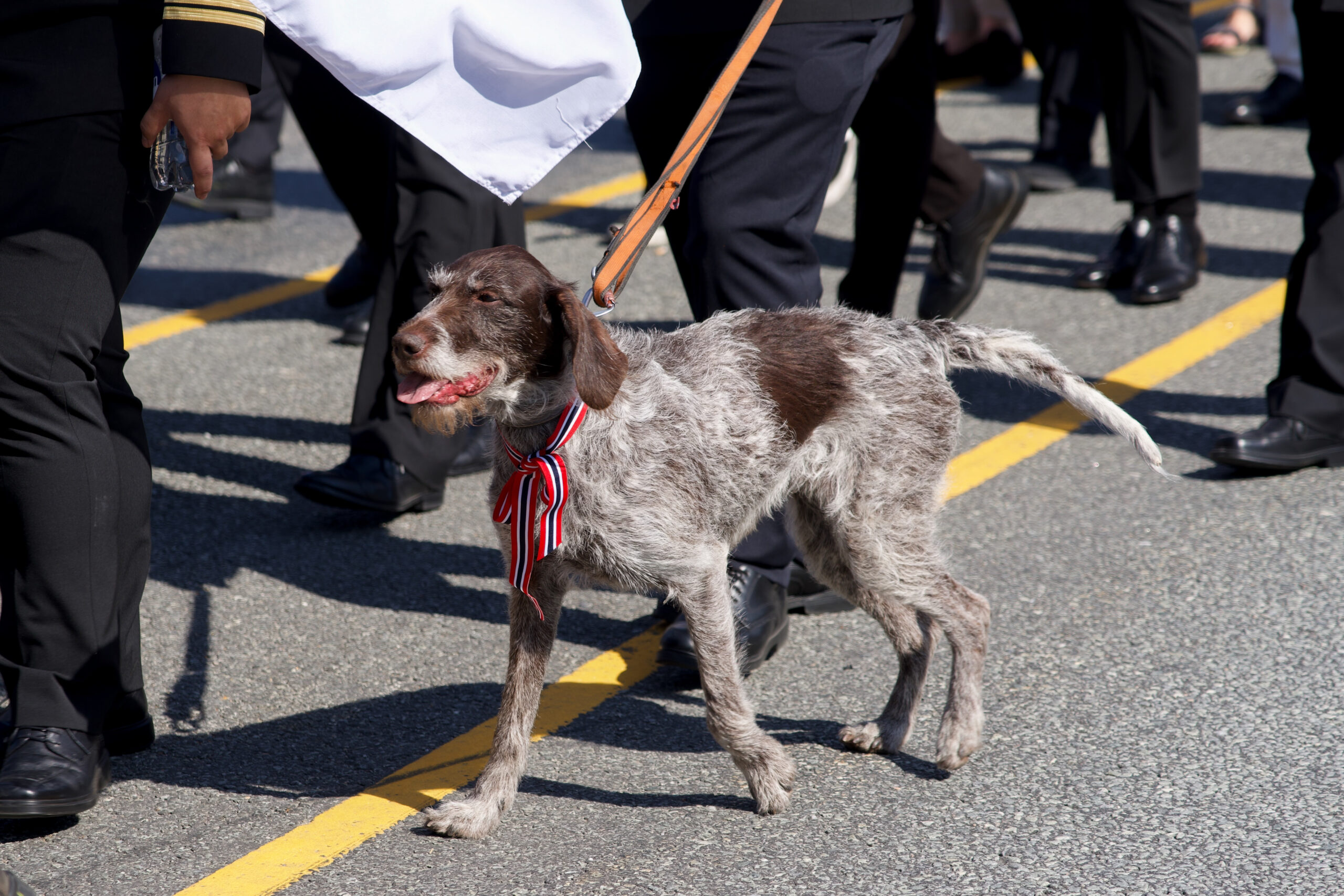 17. mai 2024 – A7402613-scaled.jpg