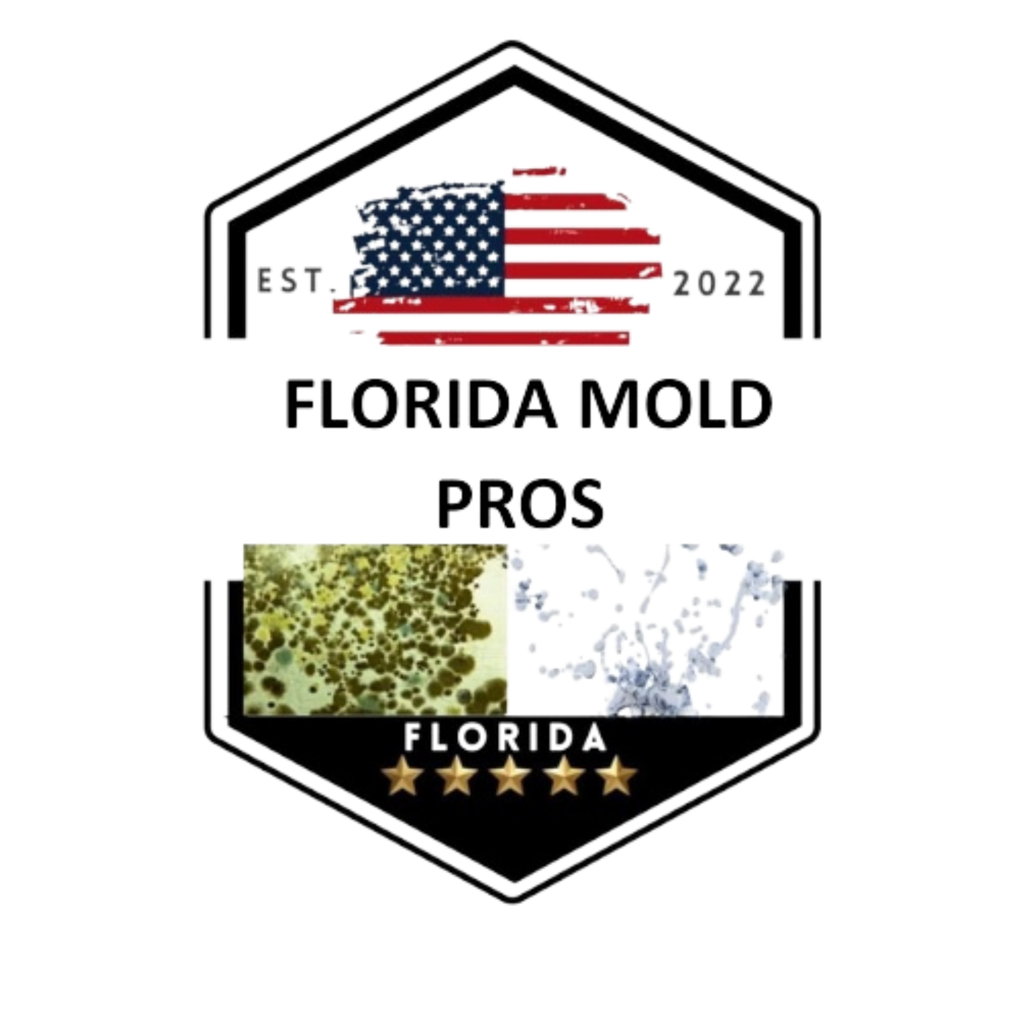 Florida Mold Pros badge, veteran-owned mold assessment, established 2022