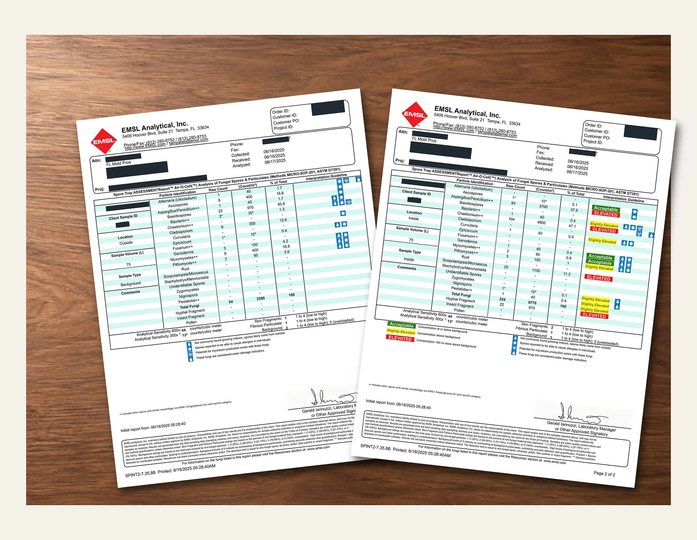 Redacted mold assessment laboratory report on a table