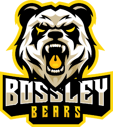 Bossley Bears Volleyball Club — home