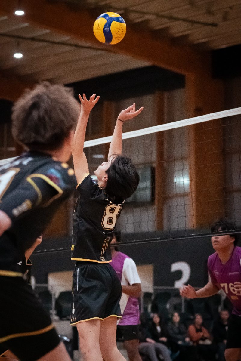 Bossley Bears setter rising to the ball at the net