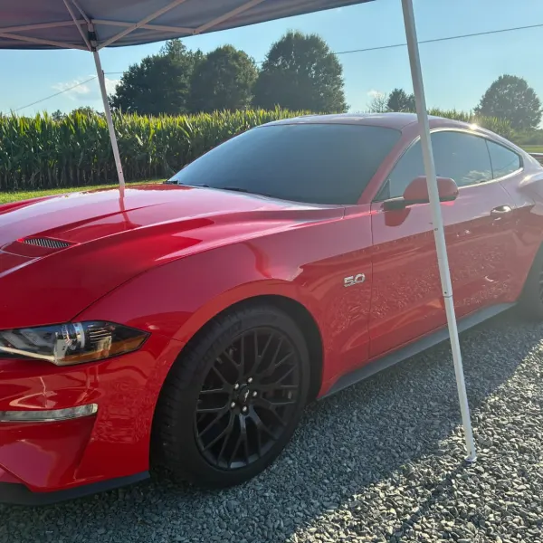 Mustang GT 5.0 — ceramic installed by Elite Window Tinting, Santa Rosa Co.