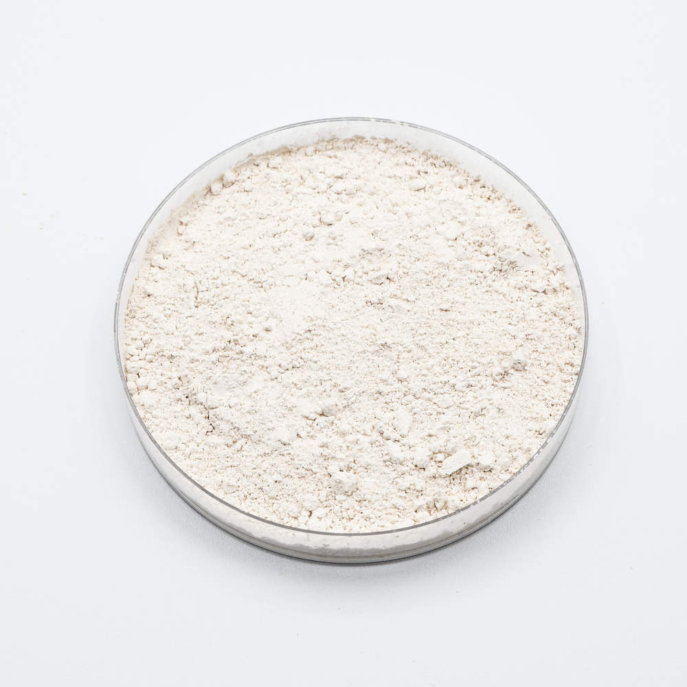 ผงแบคทีเรีย Bacillus mucilaginosus ในจานเพาะเชื้อ