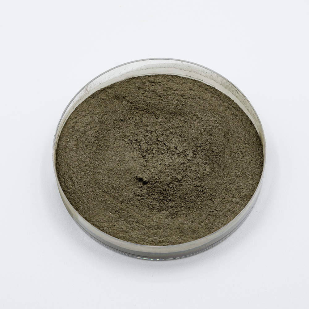 ผงเชื้อรา Penicillium bilaiae ในจานเพาะเชื้อ