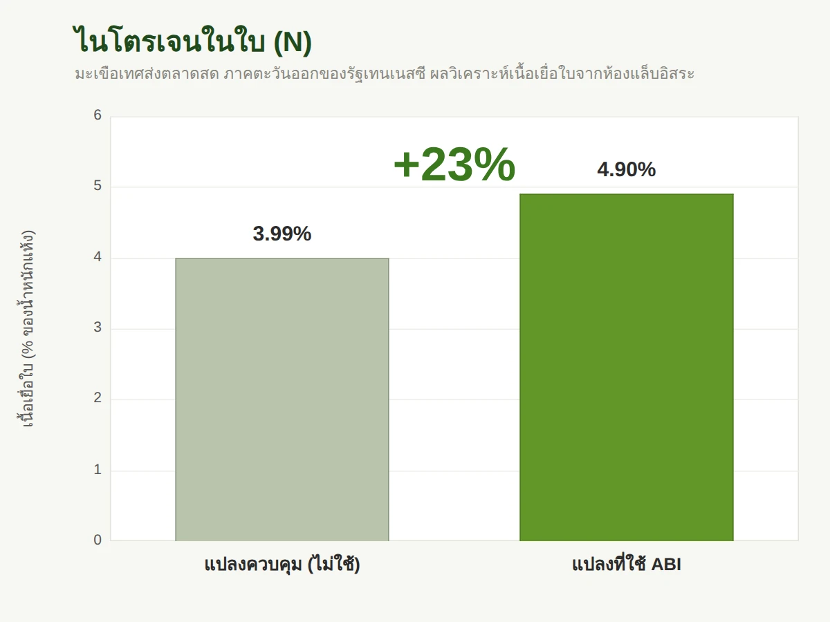 ไนโตรเจนในใบมะเขือเทศ เพิ่มขึ้น 23 เปอร์เซ็นต์ (3.99% เป็น 4.90%)