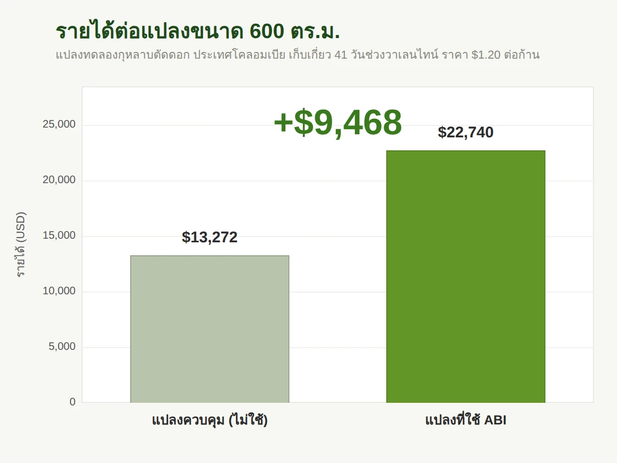 รายได้ต่อแปลง 600 ตร.ม. สูงขึ้นราว 9,468 ดอลลาร์สหรัฐ