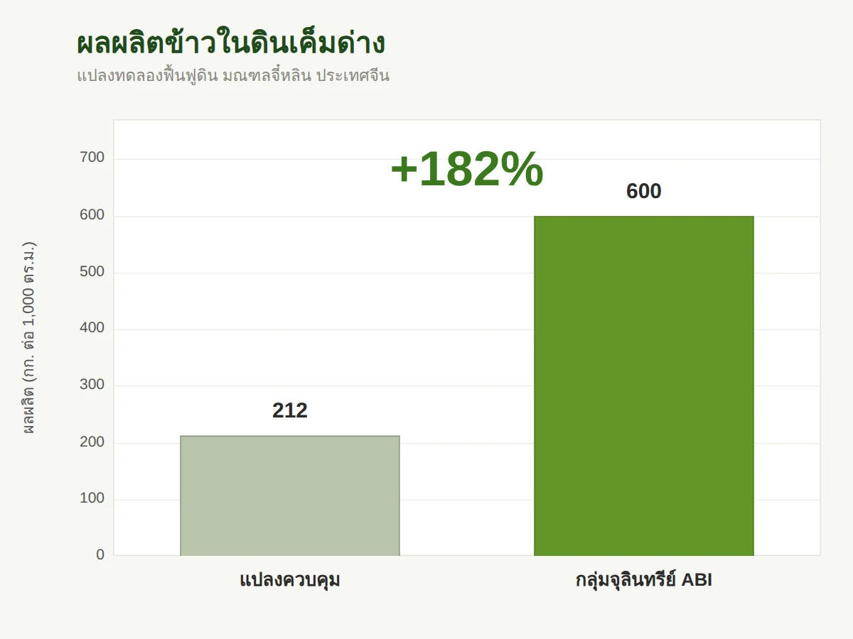 ผลผลิตข้าวบนดินเค็มด่าง เพิ่มขึ้น 182%