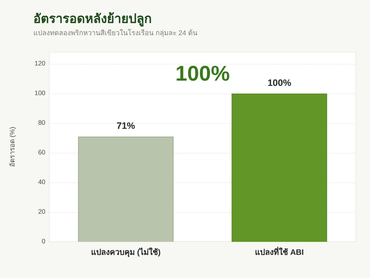 อัตรารอดหลังย้ายปลูก 100% เทียบกับ 71% ของแปลงควบคุม