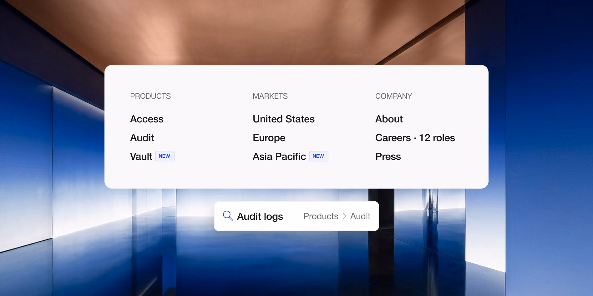 Site navigation menu with Products, Markets and Company columns and an Audit logs search result