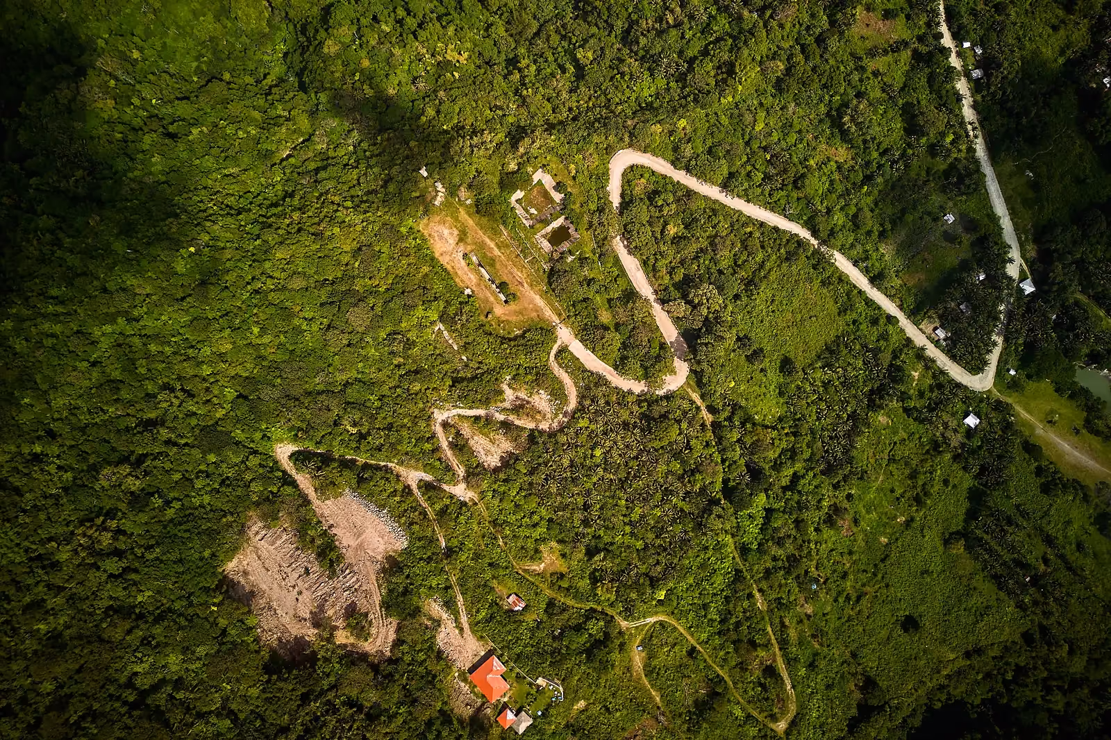 Overhead view of a winding road through green tropical forest